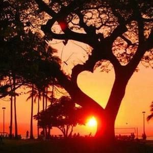 Meet your Posher, Cara